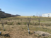 Satılır 500 sot torpaq Şıxov