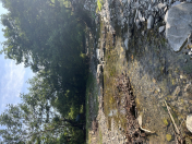 Satılır 30 sot torpaq Qəbələ