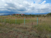 Satılır 12 sot torpaq Şamaxı