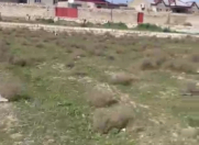 Satılır 20 sot torpaq Asan Xidmət-2