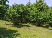 Satılır 43 sot torpaq Oğuz