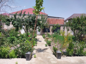 Satılır 3 sot torpaq Aygun City