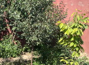 Satılır 7 otaqlı 341 m2 villa Badamdar