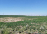 Satılır 700 sot torpaq Sumqayıt