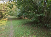 Satılır 20 sot torpaq Qəbələ