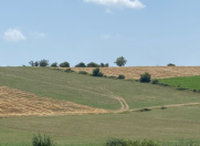 Satılır 60 sot torpaq Qusar