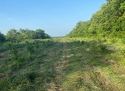 Satılır 54 sot torpaq Xudat