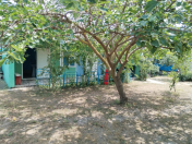 İcarəyə verilir 1 otaqlı 40 m2 həyət evi Xaçmaz