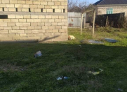 Satılır 8 otaqlı 200 m2 həyət evi Ağsu