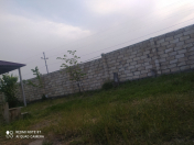 İcarəyə verilir 2 otaqlı 60 m2 bağ evi Qəbələ