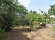 Satılır 10.6 sot torpaq Biləcəri