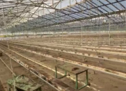 Satılır 40 otaqlı 200000 m2 obyekt Zirə