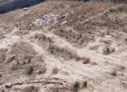 Satılır 8 sot torpaq Mərdəkan