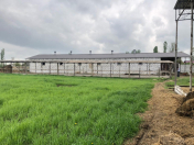 Satılır 5 otaqlı 450 m2 obyekt Ağstafa