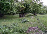 Satılır 15 sot torpaq Oğuz