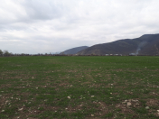 Satılır 24 sot torpaq Oğuz