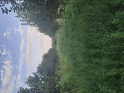 Satılır 140 sot torpaq Göyçay