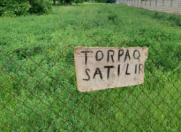 Satılır 20 sot torpaq Göygöl