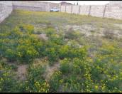 Satılır 3 sot torpaq Albalı