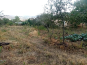 Satılır 10 sot torpaq Şamaxı