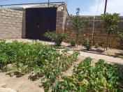 Satılır 3 otaqlı 90 m2 həyət evi Maştağa