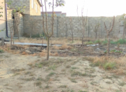 Satılır 2 sot torpaq Zabrat 2