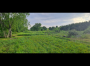 Satılır 60 sot torpaq Oğuz