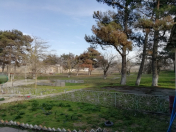 Satılır 70 sot torpaq Mərdəkan