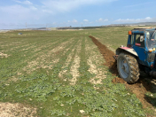 Satılır 67 sot torpaq Novxanı