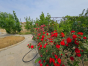 Satılır 6 sot torpaq Badamdar