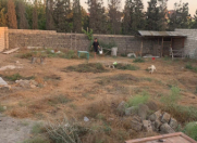 Satılır 5 sot torpaq Bilgəh