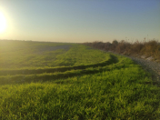 Satılır 326 sot torpaq Göyçay