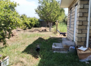 Satılır 546 sot torpaq Göyçay