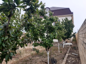 Satılır 8 otaqlı 550 m2 həyət evi Novxanı