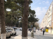 İcarəyə verilir 3 otaqlı 100 m2 obyekt Sumqayıt