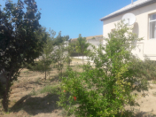 Satılır 3 otaqlı 5 m2 bağ evi Novxanı