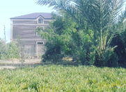 Satılır 3 sot torpaq Şağan