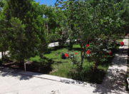 Satılır 6 otaqlı 8 m2 villa Naxçıvan