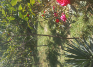 Satılır 10 sot torpaq Qəbələ