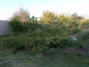 Satılır 6 sot torpaq Ağdaş