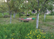 İcarəyə verilir 5 otaqlı 160 m2 bağ evi Qusar