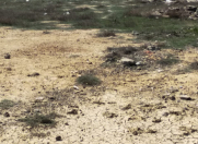 Satılır 2.7 sot torpaq Məhəmmədli