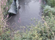 Satılır 400 sot torpaq Qəbələ