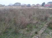 Satılır 28.5 sot torpaq Pirşağı