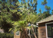 Satılır 5 otaqlı 6500 m2 obyekt Həzi Aslanov