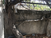 Satılır 34 sot torpaq Bilgəh