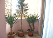 İcarəyə verilir 3 otaqlı 140 m2 ofis Nizami m.