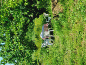 İcarəyə verilir 4 otaqlı 140 m2 həyət evi Quba