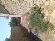 Satılır 4 sot torpaq Binə