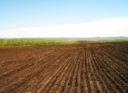 Satılır 8200 sot torpaq Türkan